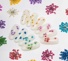Molly Nageldecoratie droogbloemen MollyLac Groen 5 stuks Molly Nageldecoratie droogbloemen MollyLac Groen 5 stuks