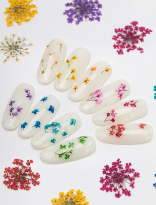 Nageldecoratie Droogbloemen  Groen 5 Stuks