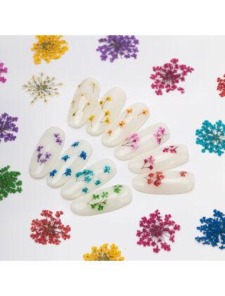 Nageldecoratie droogbloemen MollyLac Groen 5 stuks