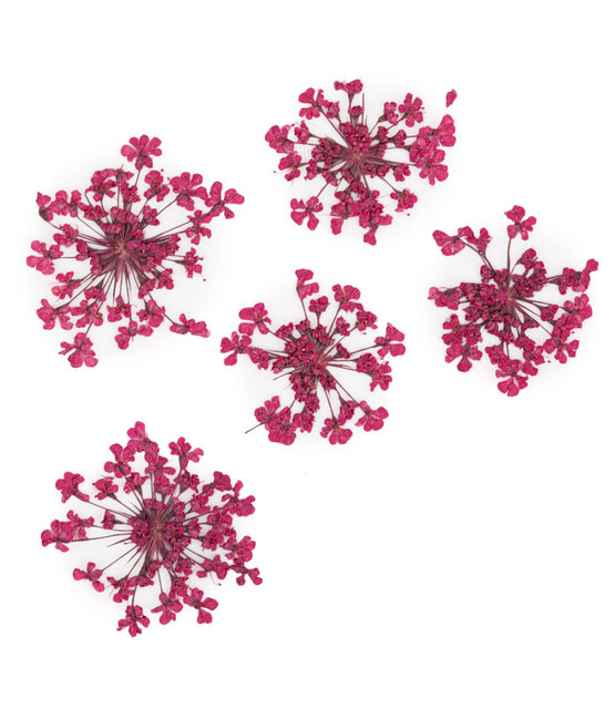 Nageldecoratie droogbloemen MollyLac Groen 5 stuks