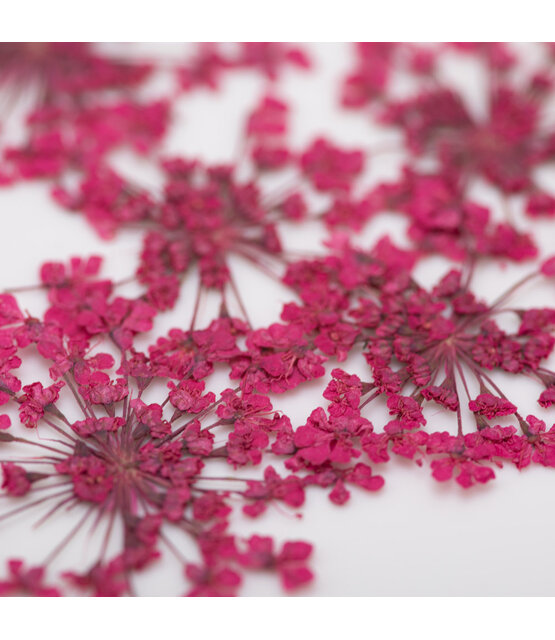 Nageldecoratie droogbloemen MollyLac Groen 5 stuks