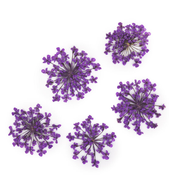 Nageldecoratie Droogbloemen  Groen 5 Stuks