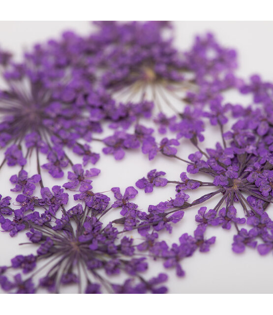 Nageldecoratie droogbloemen MollyLac Groen 5 stuks