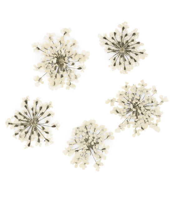 Nageldecoratie Droogbloemen  Groen 5 Stuks