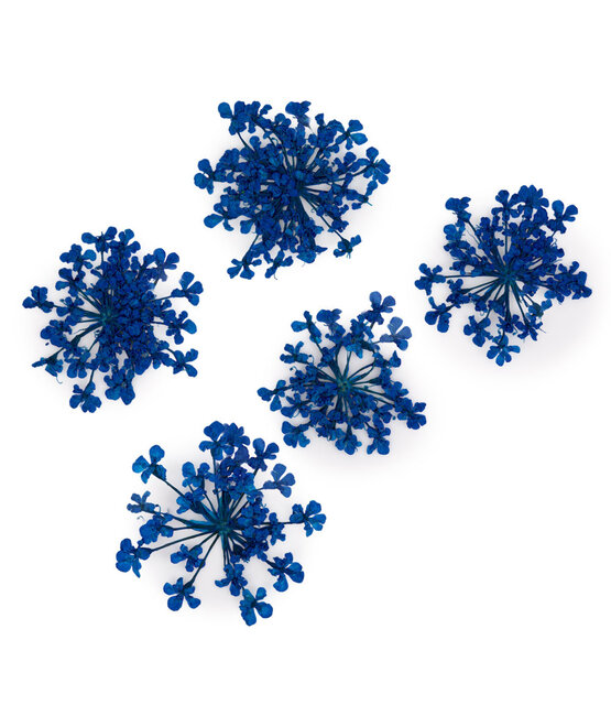 Nageldecoratie droogbloemen MollyLac Groen 5 stuks