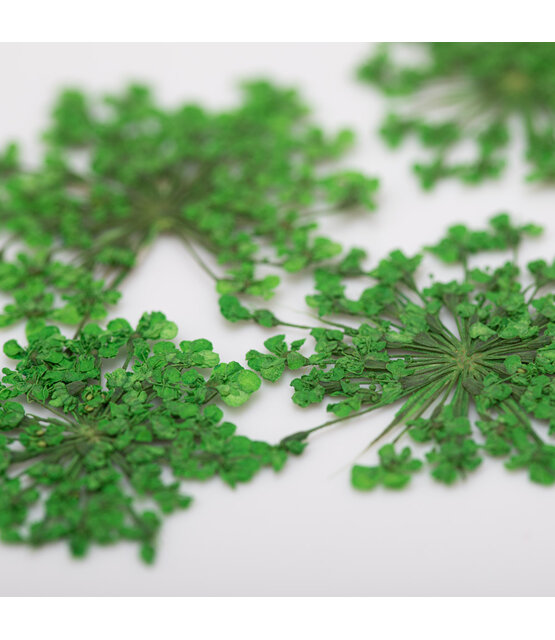 Nageldecoratie Droogbloemen  Groen 5 Stuks