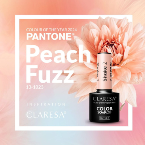 CLARESA CLARESA Gel Polish SHAKE 2 -5g CLARESA CLARESA Gel Polish SHAKE 2 -5g