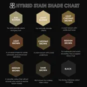 Beautiful Brows & Lashes | Hybrid Liquid Brow Stain | 15 ML