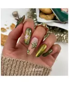 Gelpolish  Cat Eye Suprise Z032