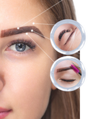 Beauty Brow Box - Waxing