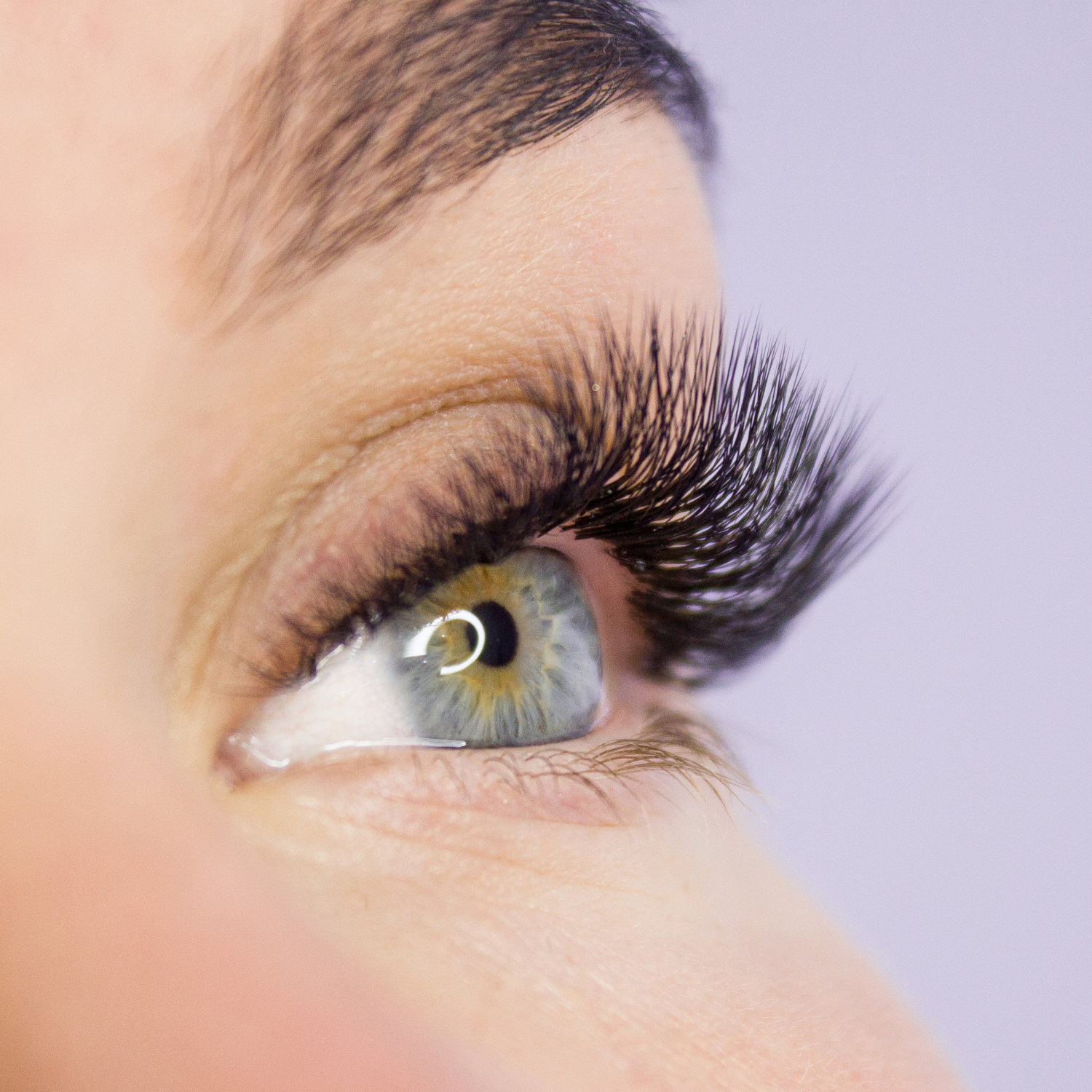 Lashes