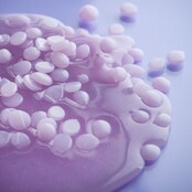 Workshop Elastique Brazilian wax 2 prive/ duo