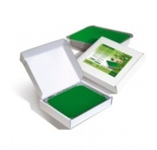 Paraffine Eucalyptus