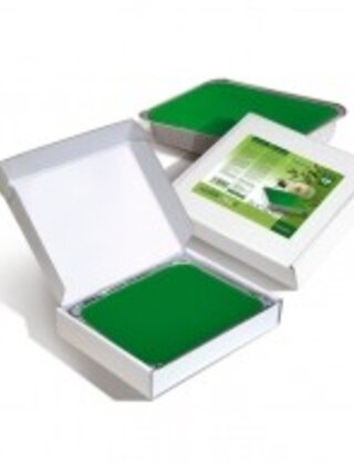 Paraffine Eucalyptus