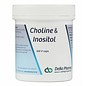 DEBA PHARMA HEALTH PRODUCTS CHOLINE en INOSITOL (100 V-CAPS)