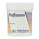 DEBA PHARMA HEALTH PRODUCTS PROFLAVON PROSTAATFORMULE (60 V-CAPS)