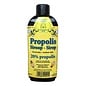 BIJENHOF BEE PRODUCTS PROPOLISSIROOP (200 ML)