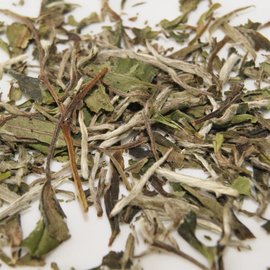 VAN AELST TEA CHINA PAI MU TAN (60 G)