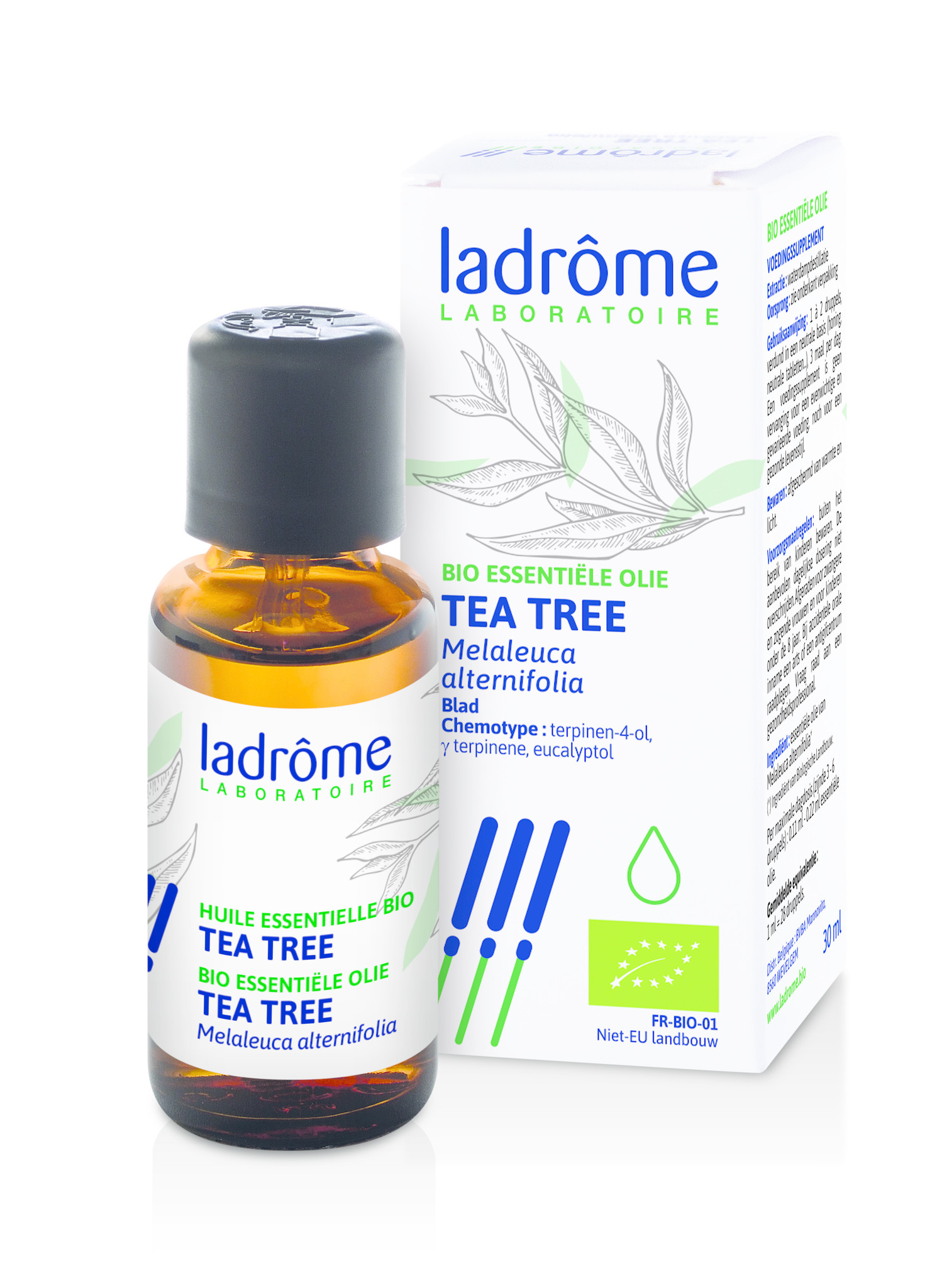 Huile essentielle biologique Arbre à thé, Tea tree (Melaleuca alternifolia)