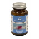 CHINA NATURE FORMULAS GUAN JIE YAN WAN (60 TABLETTEN)