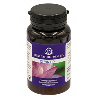 CHINA NATURE FORMULAS QI YIN UP (100 TABLETTEN)