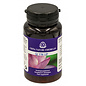 CHINA NATURE FORMULAS QI YIN UP (100 TABLETTEN)