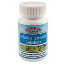 INDIAN NATURE AYURVEDA GOKSHURA - TRIBULUS TERRESTRIS (100 V-CAPS)