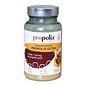 PROPOLIA BEE PRODUCTS PROPOLIS POEDER ULTRA® GLUTENVRIJ (72 G)