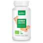 PURASANA NATURAL PROTECTION GINGEMBRE BIO - ZINGIBER OFFICINALE 250 MG (60 V-CAPS)