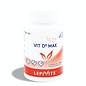 LEPIVITS LABORATOIRE VITAMINE D3 MAX (60 V-CAPS)