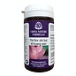 CHINA NATURE FORMULAS ZHI BAI DI HUANG WAN - YIN FIRE (100 TABLETTEN)