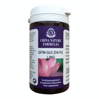 CHINA NATURE FORMULAS GFW - GUI ZHI FU LING WAN (100 TABLETTEN)