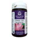 CHINA NATURE FORMULAS LIAN HUA QING WAN - VIRAWAY (100 TABLETTEN)