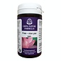 CHINA NATURE FORMULAS XIAO YAO SAN - FREE (100 TABLETTEN)