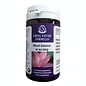 CHINA NATURE FORMULAS SI WU TANG - BLOOD BALANCE (100 TABLETTEN)