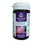 CHINA NATURE FORMULAS YU PING FENG SAN - JADE HERBS (100 TABLETTEN)