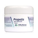 DEBA PHARMA HEALTH PRODUCTS POMMADE DE PROPOLIS (50 ML)