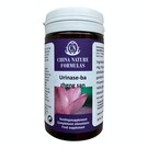 CHINA NATURE FORMULAS BA ZHENG SAN - URINASE (100 TABLETTEN)