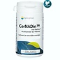 SPRINGFIELD NUTRACEUTICALS CERNADIN NICOTINAMIDE & D-RIBOSE 760 MG (60 SR-TABL)
