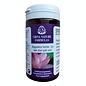 CHINA NATURE FORMULAS JIA WEI XIAO YAO SAN - REGULATOR HERBS (100 TABLETTEN)