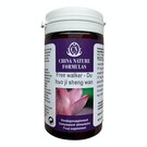 CHINA NATURE FORMULAS DU HUO JI SHENG WAN - FREE WALKER (100 TABLETTEN)