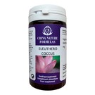 CHINA NATURE FORMULAS CI WU JIA – ELEUTHEROCOCCUS SENTICOSUS (ACANTHOPANACIS) (60 V-CAPS)