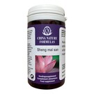 CHINA NATURE FORMULAS SHENG MAI SAN - GENERATOR HERBS (100 TABLETTEN)