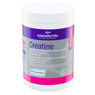 MANNAVITAL NATURAL PRODUCTS CREATINE PLATINUM (408 G)