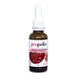 PROPOLIA BEE PRODUCTS PROPOLIS EXTRACT ZONDER ALCOHOL (30 ML)