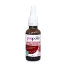 PROPOLIA BEE PRODUCTS PROPOLIS EXTRACT BIO ZONDER ALCOHOL (30 ML)