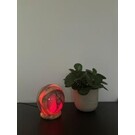 HIMALAYA LAMPS HIMALAYA ONYX LAMP FULL MOON - ROOD