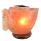 HIMALAYA LAMPS HIMALAYA ZOUT ALADDIN AROMALAMP