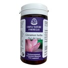 CHINA NATURE FORMULAS GUI ZHI TANG - CINNAMON HERBS (100 TABLETTEN)