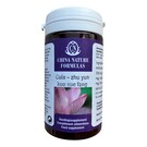 CHINA NATURE FORMULAS ZHU YUN HUO XUE FANG - CULA HERBS  (100 TABLETTEN)